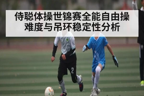 侍聪体操世锦赛全能自由操难度与吊环稳定性分析 | BOBSports